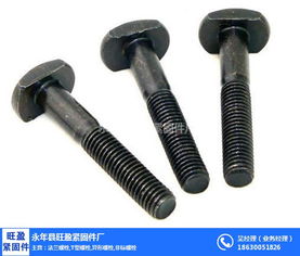 上海T型螺栓專業(yè)供應商 旺盈緊固件，金屬拉絲加工品質(zhì)保障